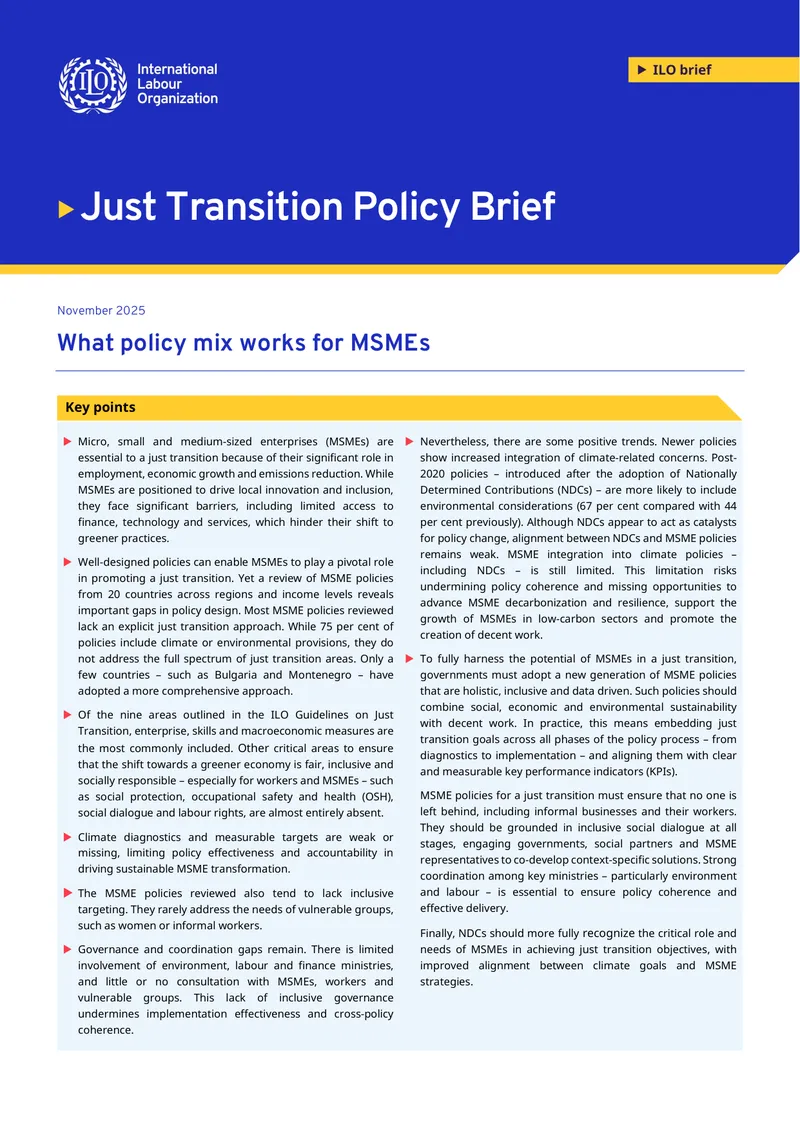 Just Transition Policy Mix for MSMEs