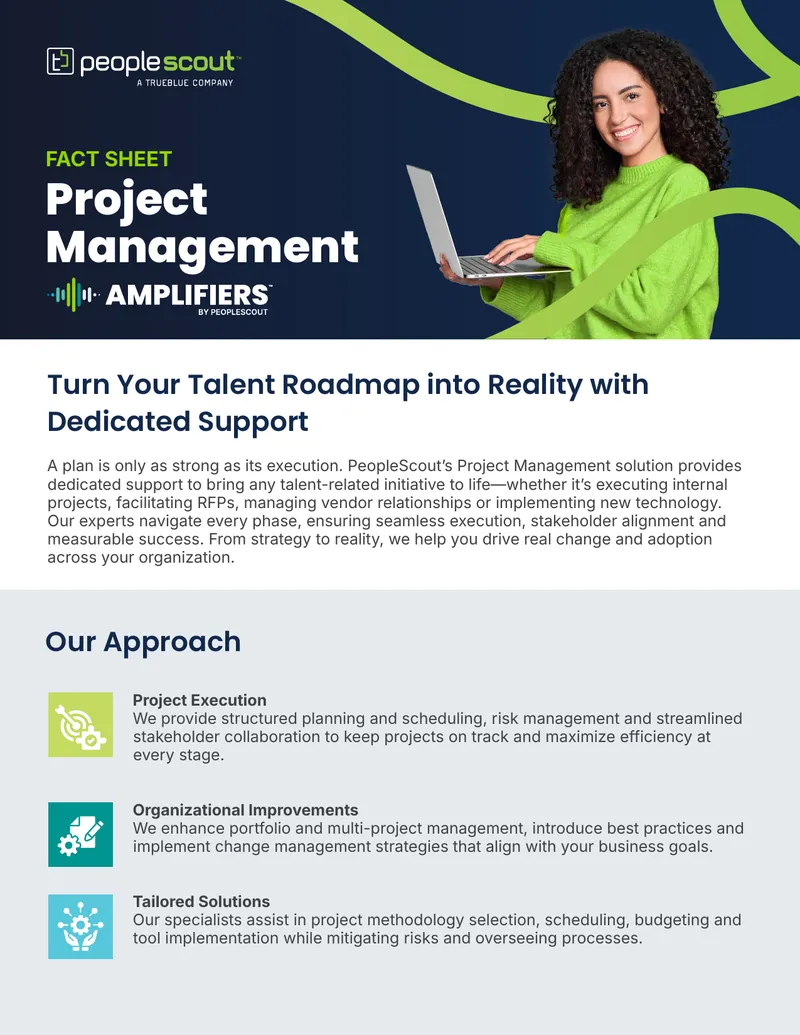 Project Management Support and Methodology Implementation