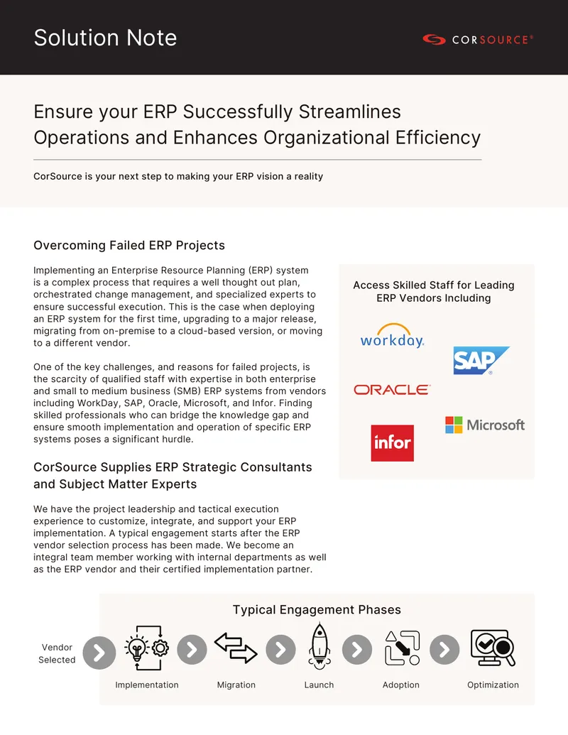 ERP Implementation and Optimization Support Services