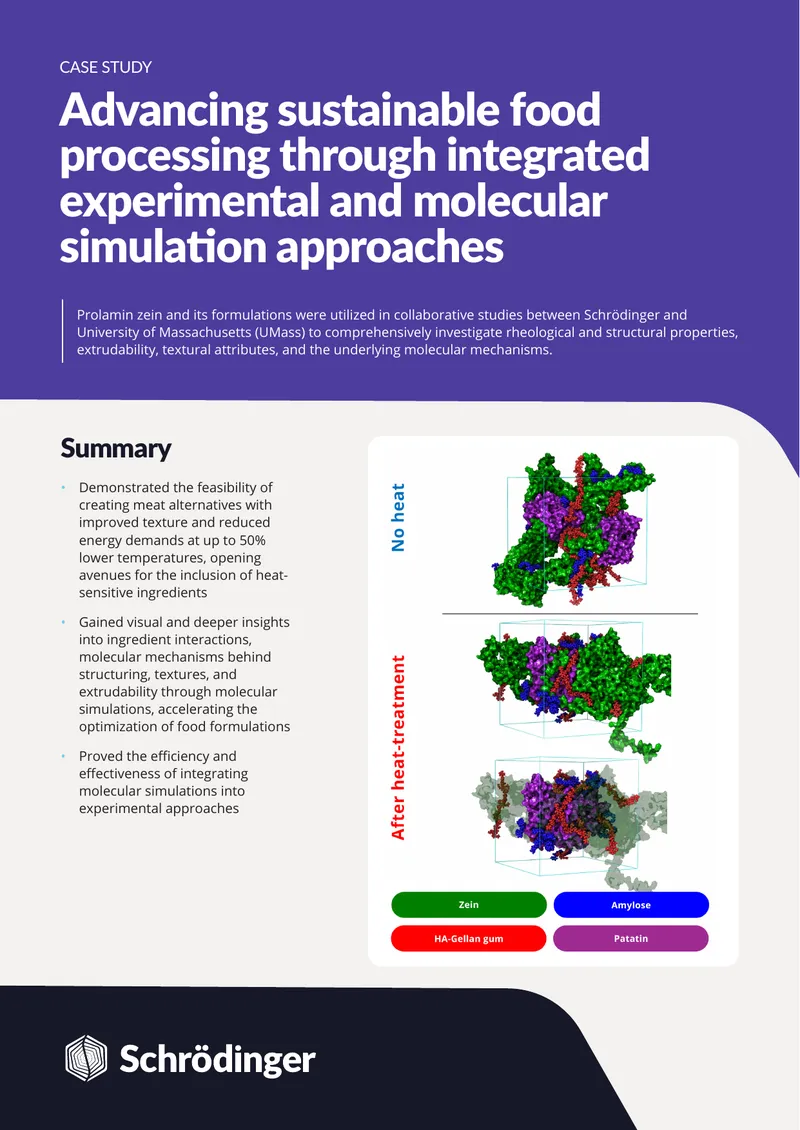 Advancing Sustainable Food Processing through Molecular Simulations
