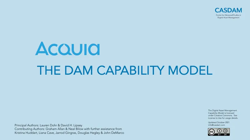 Digital Asset Management Capability Model