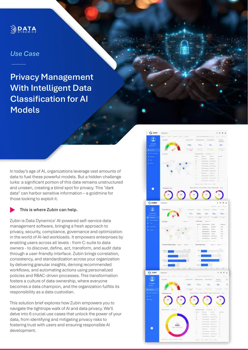 Privacy Management with Intelligent Data Classification for AI Models