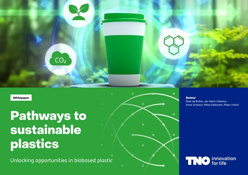 Pathways to Sustainable Plastics Framework