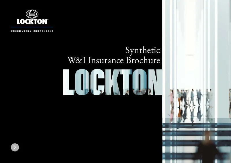 Synthetic W&I Insurance Brochure