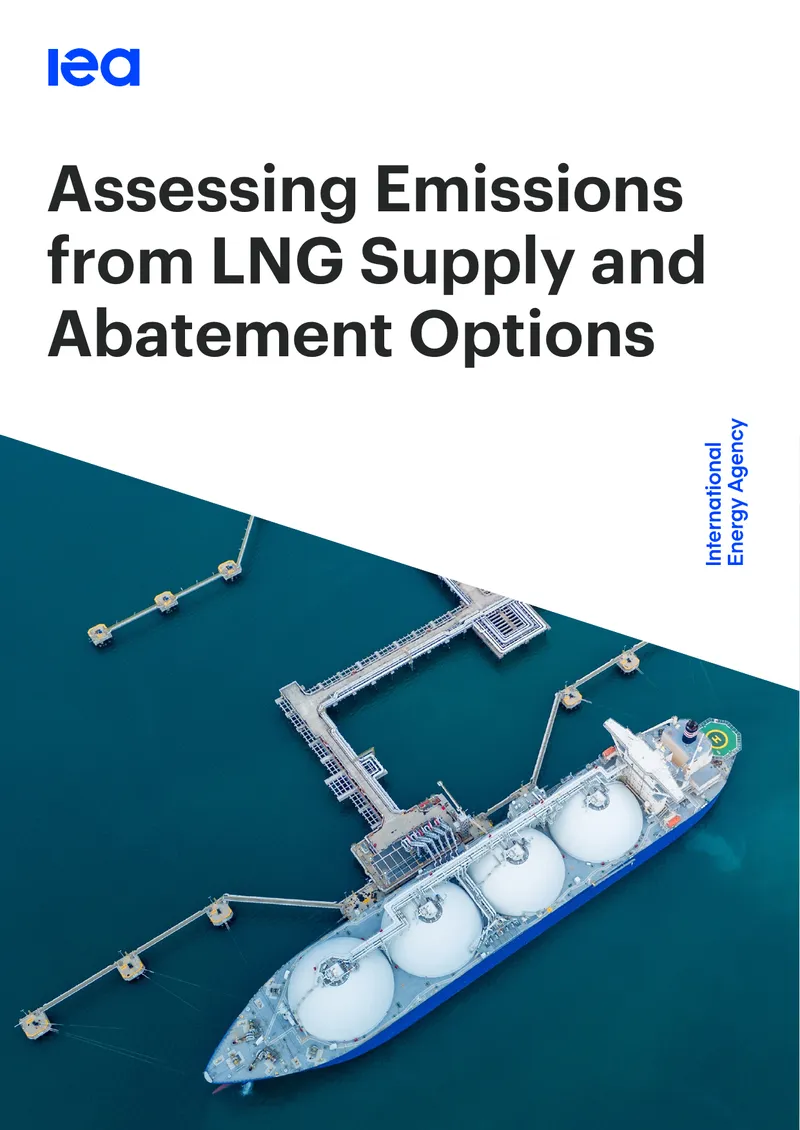 Assessing Emissions from LNG Supply and Abatement Options