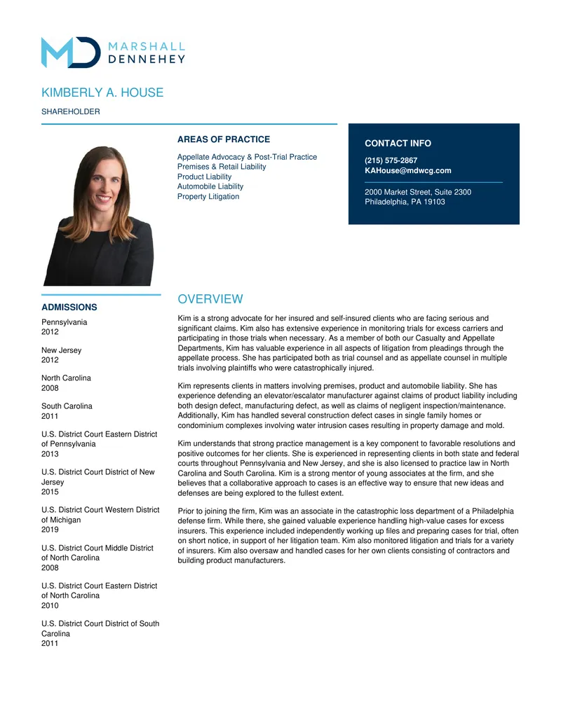 Litigation Experience and Areas of Practice