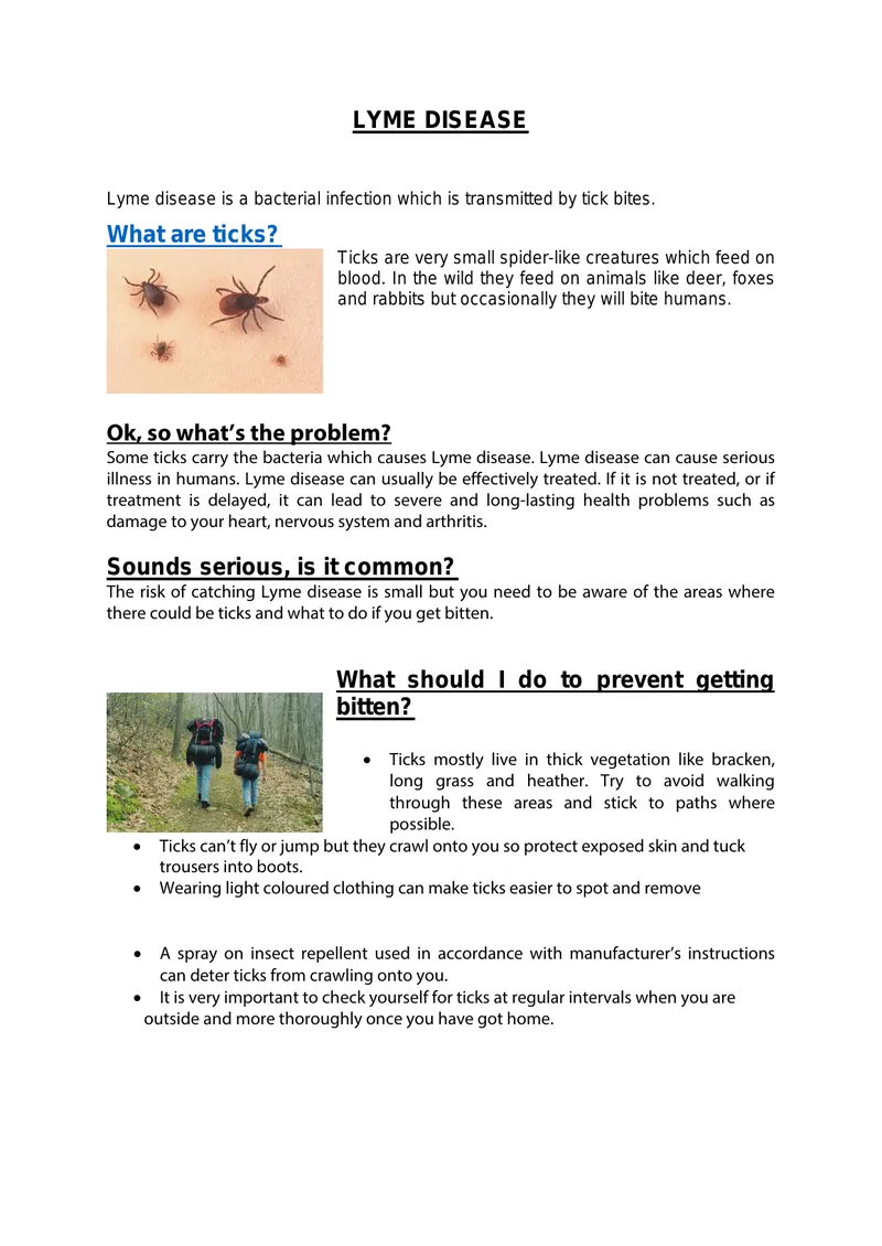 Lyme Disease Prevention and Treatment Guide