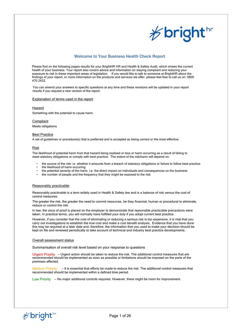 Business Health Check Report Overview