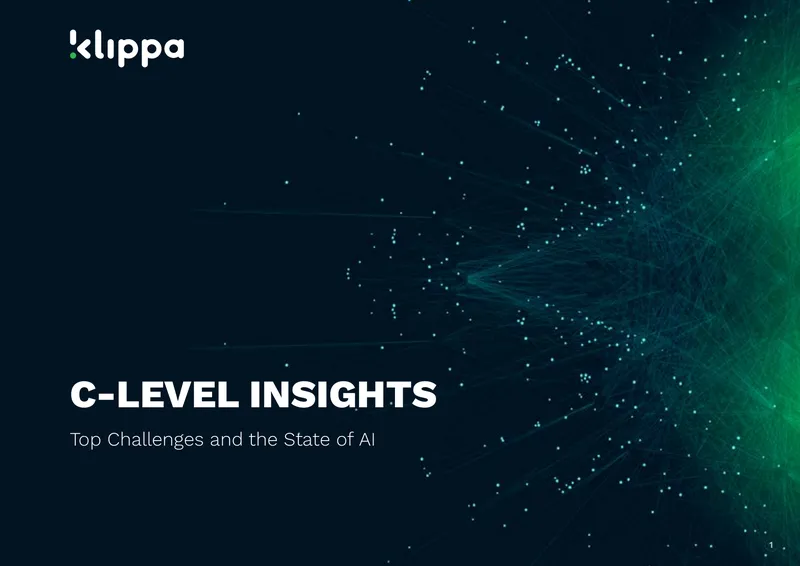 C-Level Insights on AI Challenges and Investments