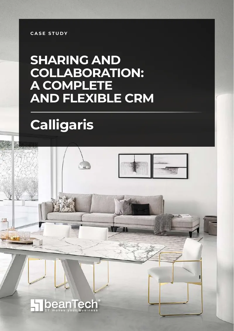 Calligaris CRM Solution Development Case Study