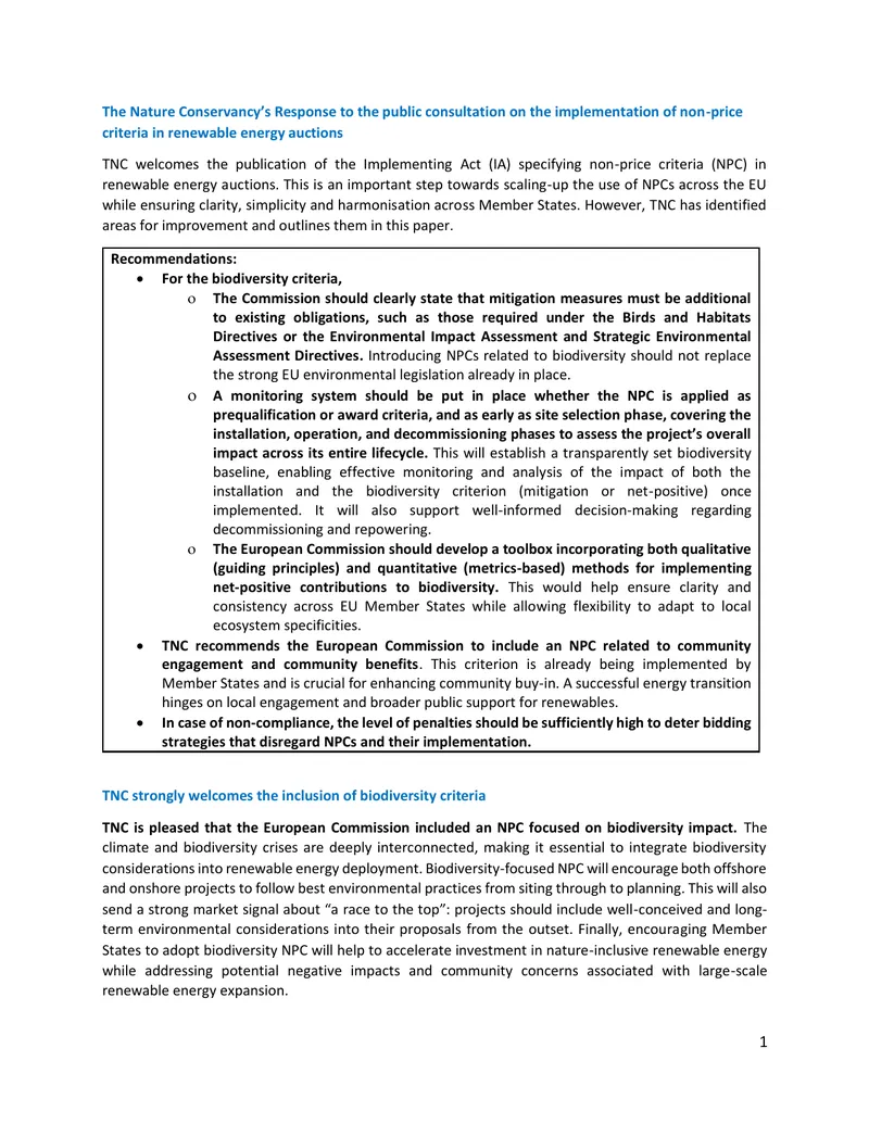 Nature Conservancy Recommendations on Renewable Energy Auctions preview page 1
