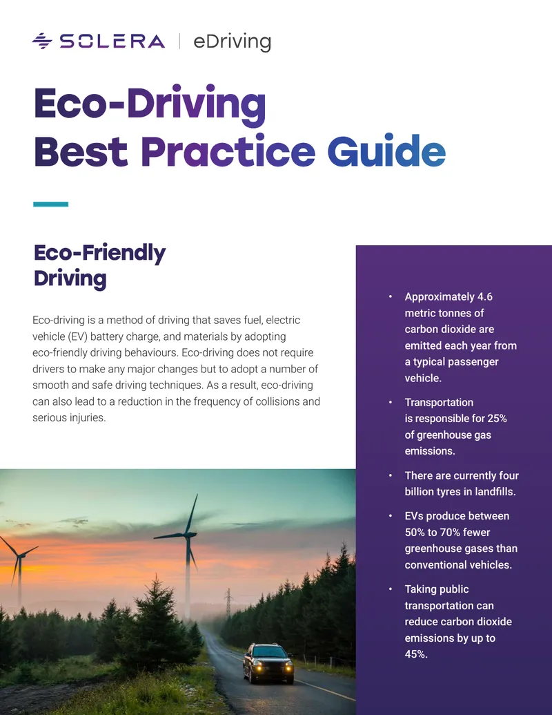 Eco-Driving Best Practice Guide