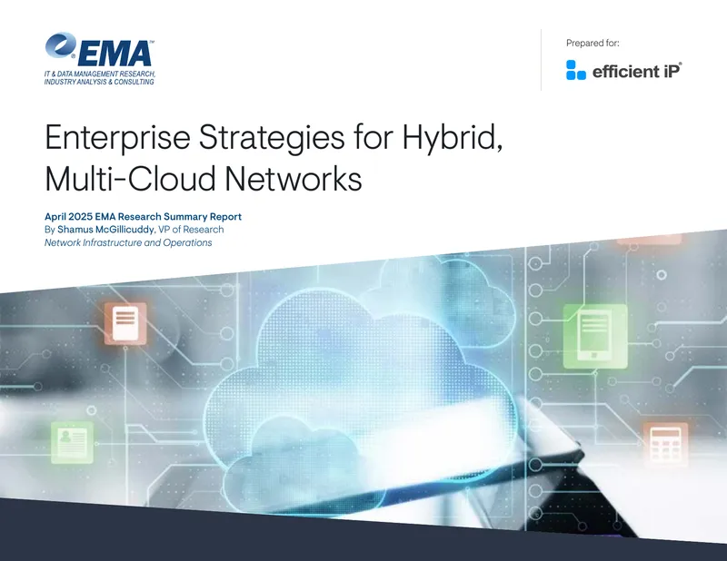 Enterprise Strategies for Hybrid Multi-Cloud Networks