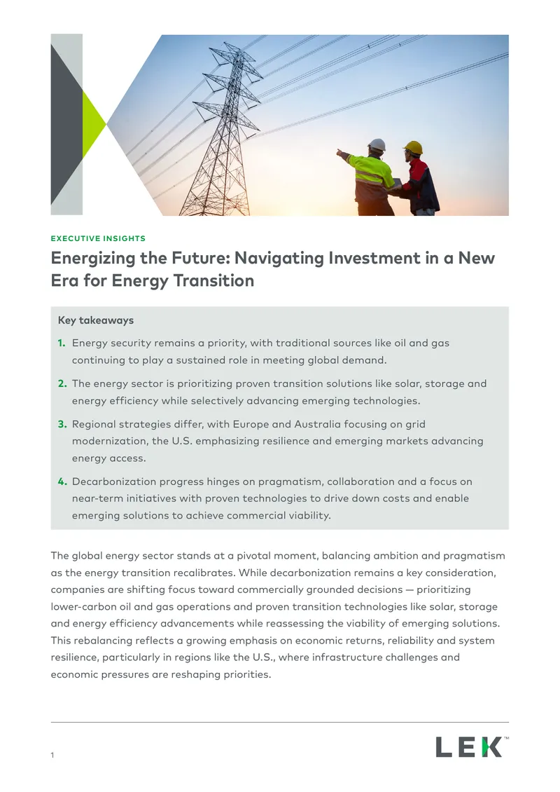 Investment Strategies in Energy Transition