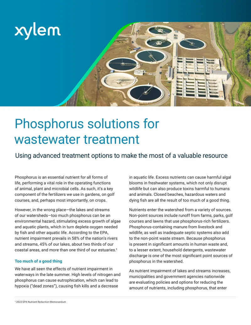Phosphorus Solutions for Wastewater Treatment