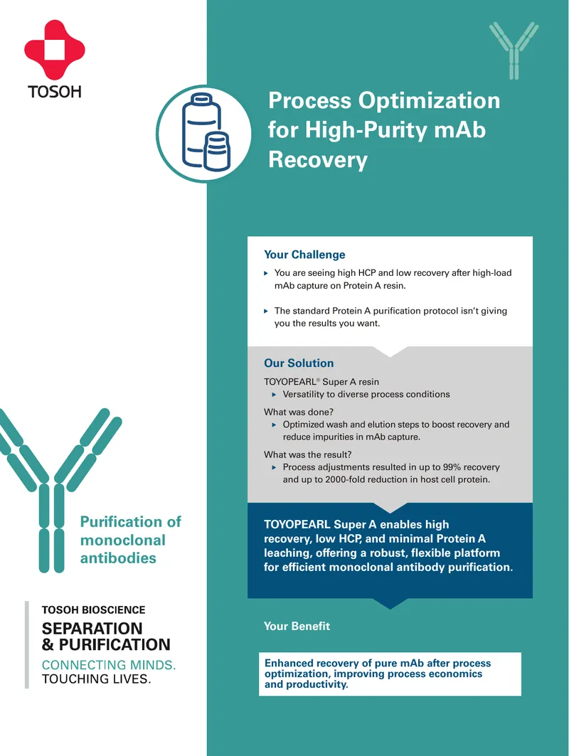 Process Optimization for High-Purity mAb Recovery