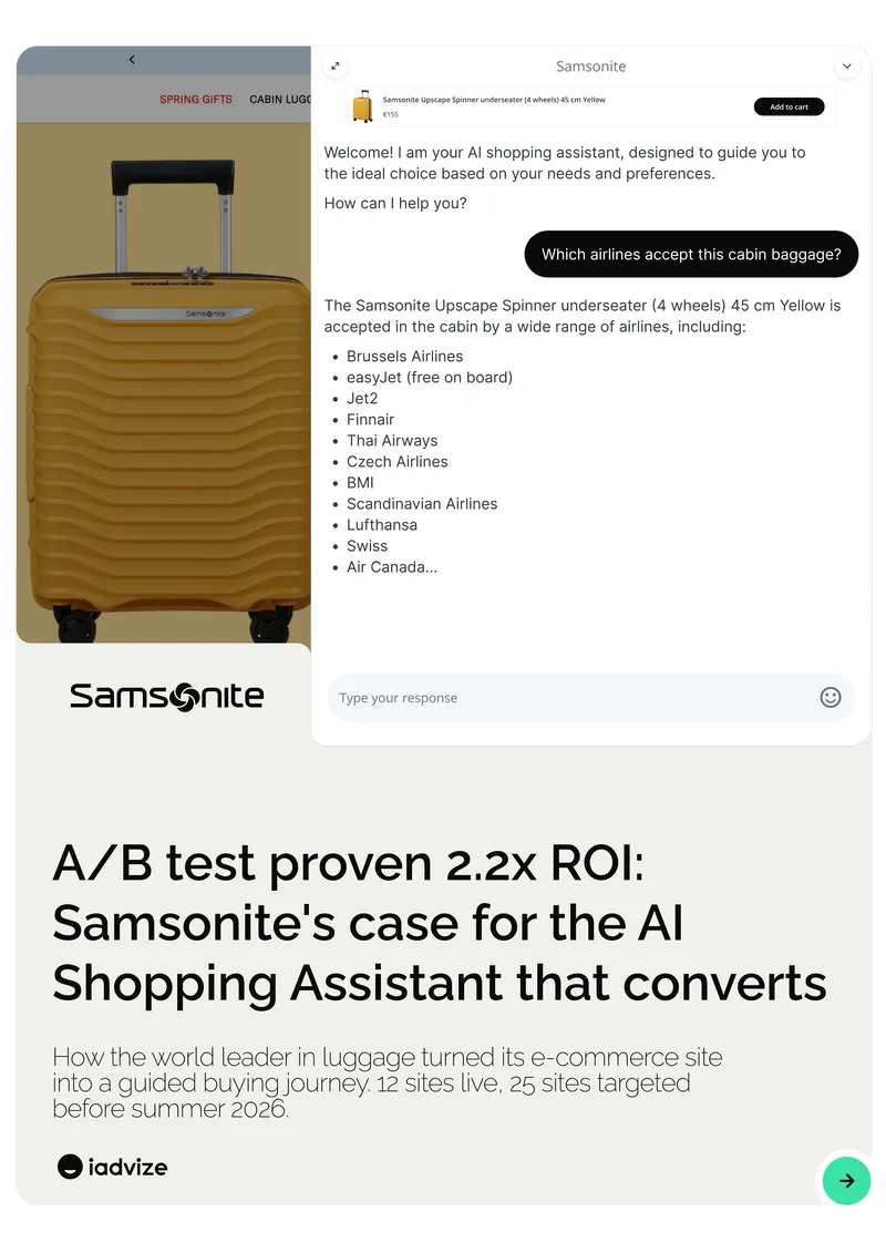 AI Shopping Assistant Implementation Case Study