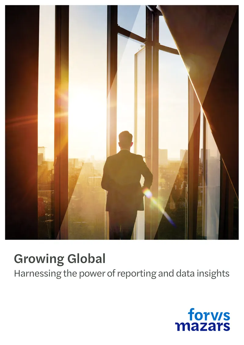 Harnessing Reporting for Global Business Growth