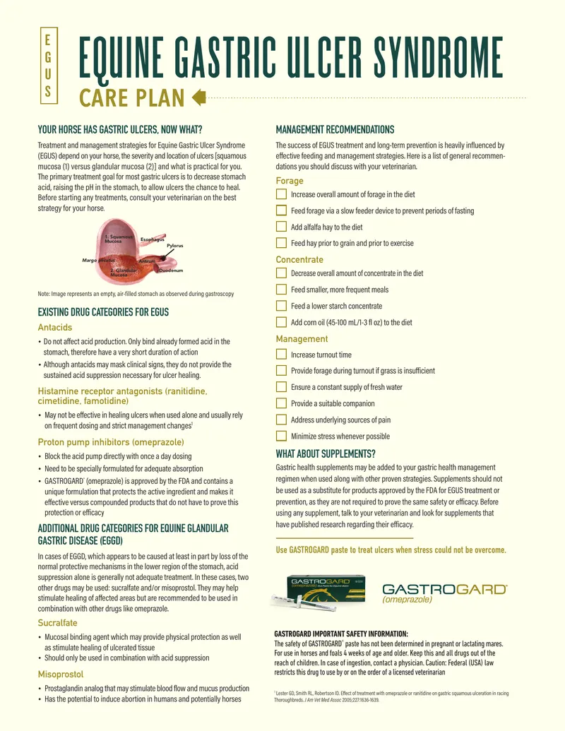 Equine Gastric Ulcer Syndrome Treatment Guide