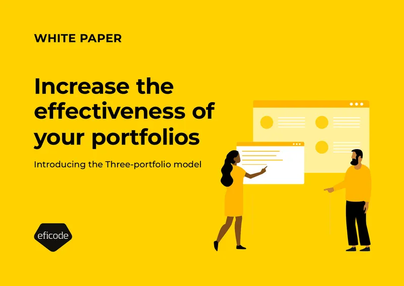 Three-Portfolio Model for Effective Management
