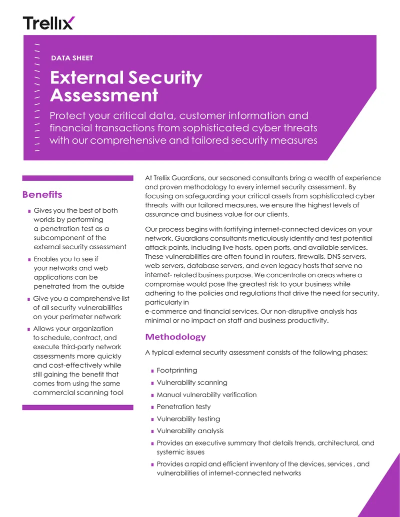 External Security Assessment Data Sheet preview page 1