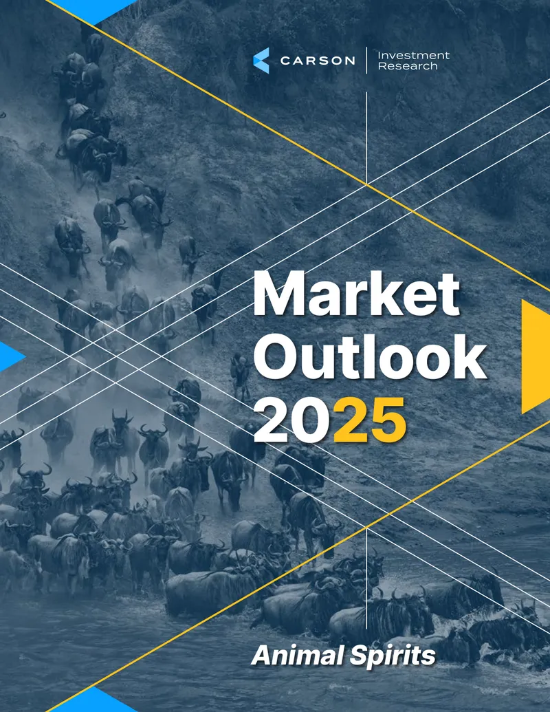 Outlook 2025: Animal Spirits Analysis