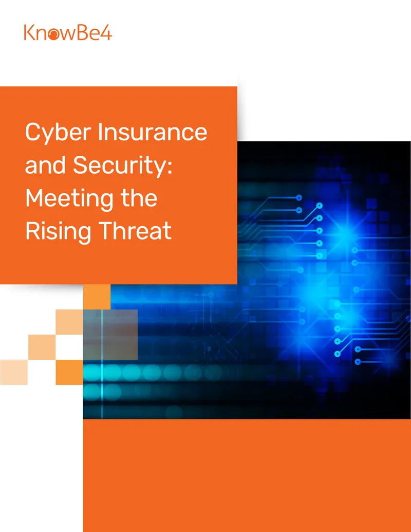 Cyber Insurance and Security Risk Management Guide