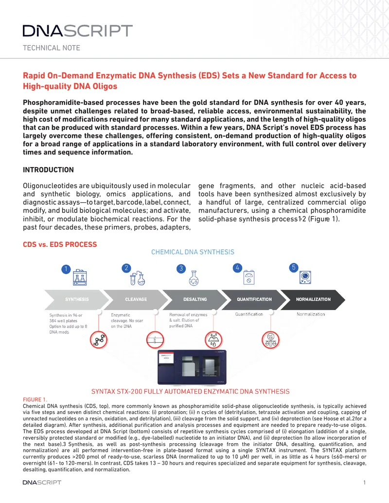 Comparison of Enzymatic and Chemical DNA Synthesis Processes