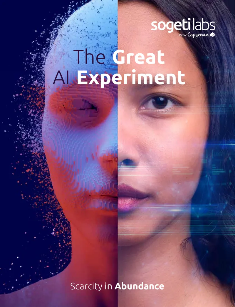 Scarcity in Abundance: The Great AI Experiment