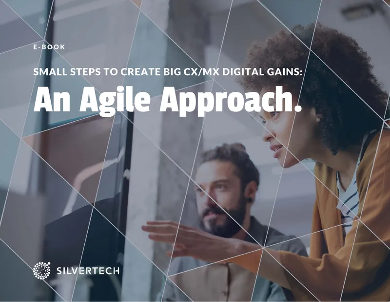 Agile Approach to Customer Experience Improvement