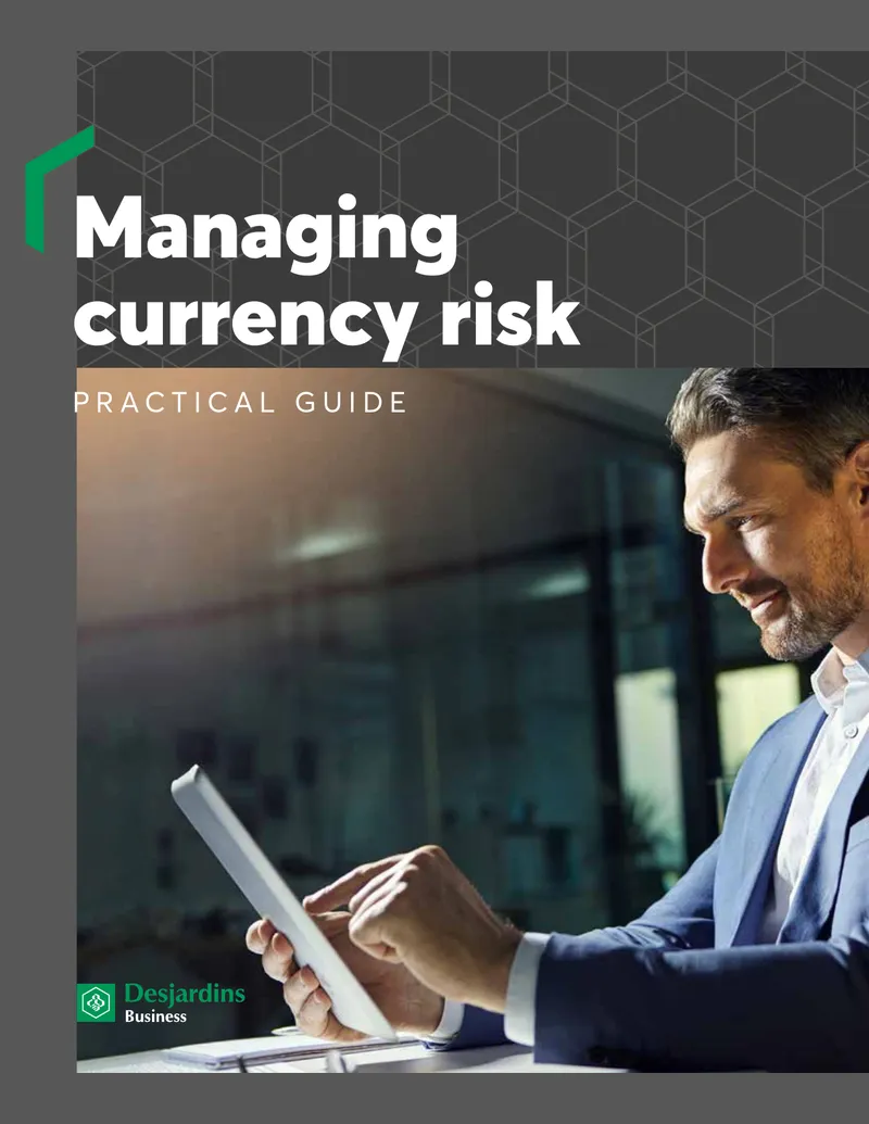 Managing Currency Risk Practical Guide