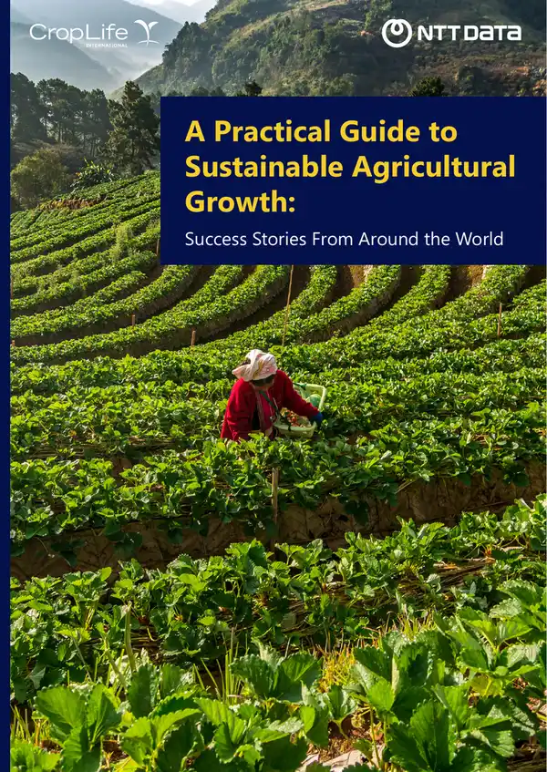 Practical Guide to Sustainable Agricultural Growth