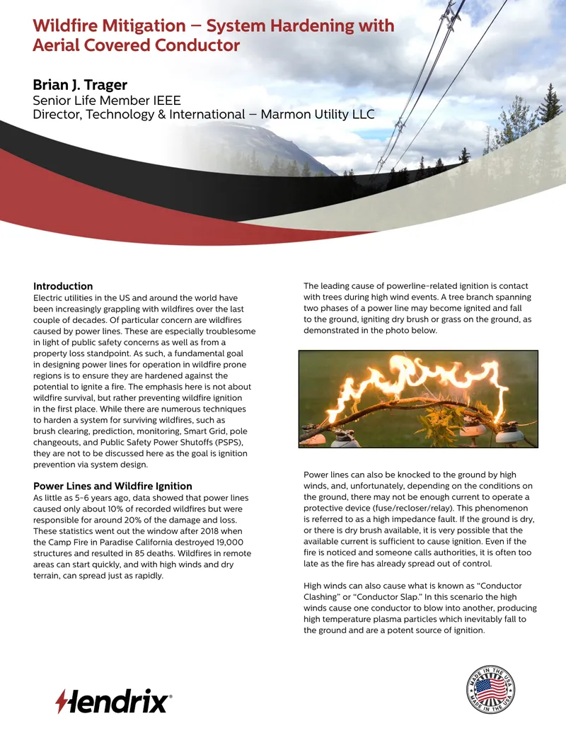 Wildfire Mitigation Strategies for Power Lines