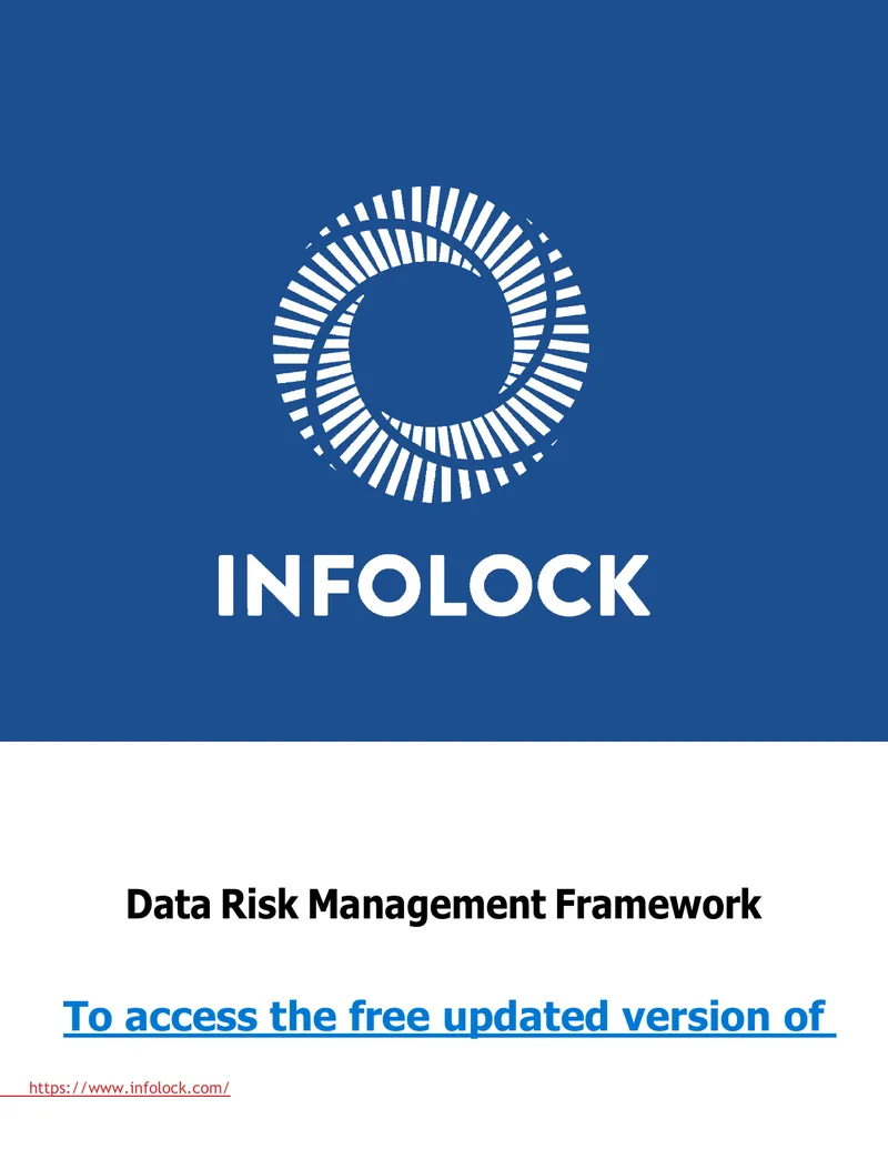 Data Risk Management Framework Overview