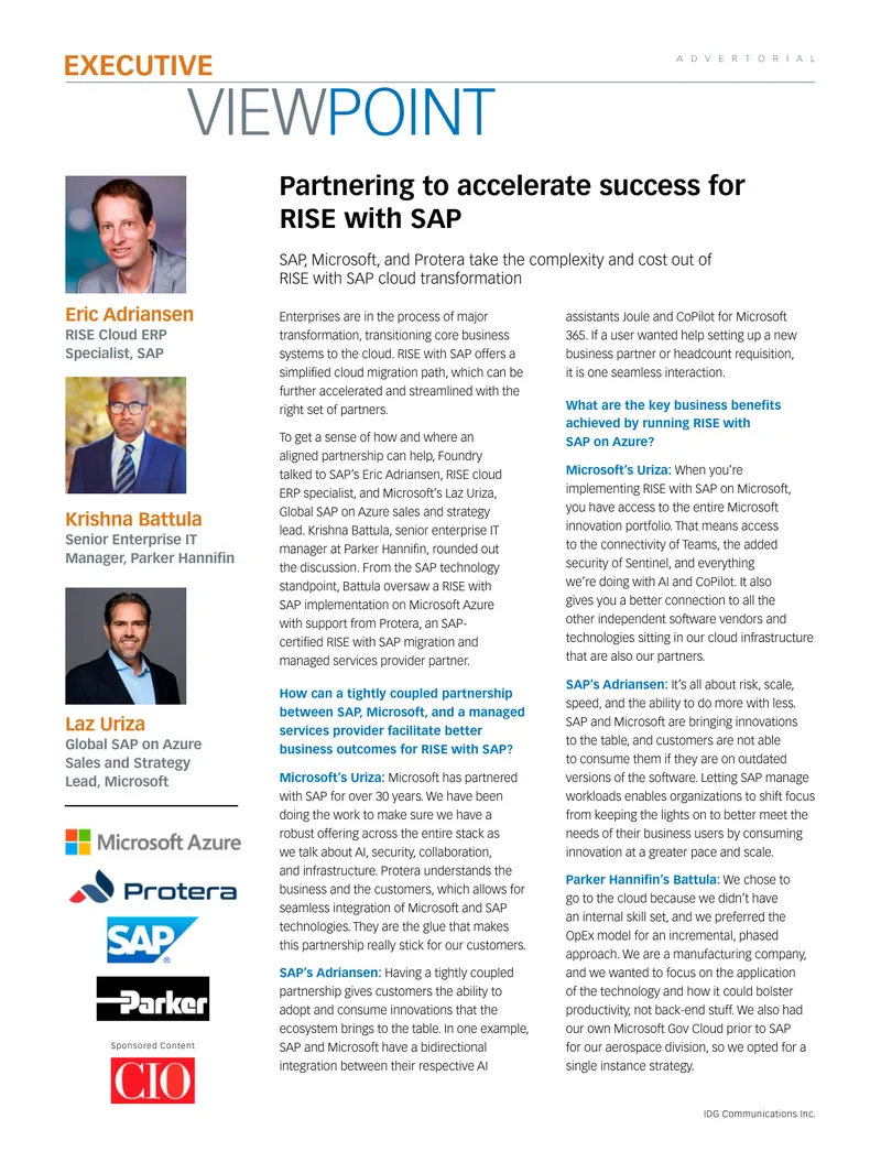 Partnership Strategies for RISE with SAP Implementation