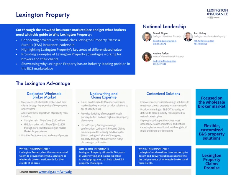 Lexington Property Excess and Surplus Insurance Guide