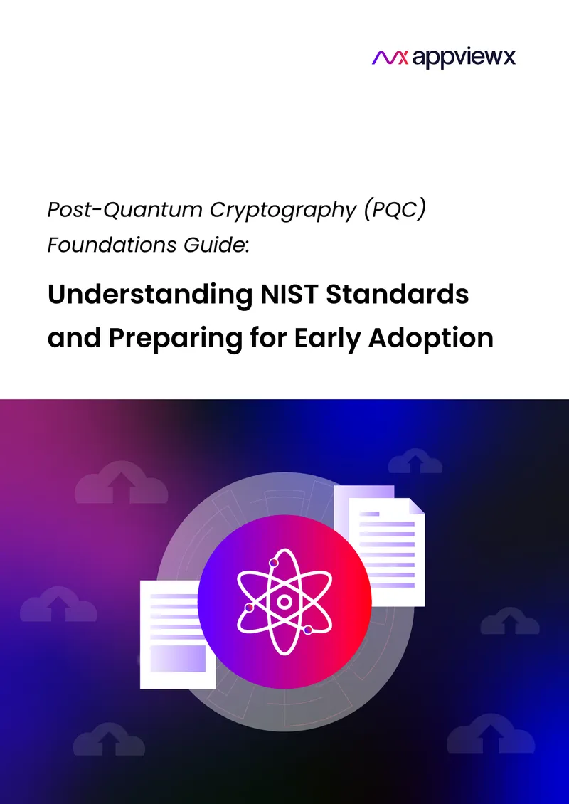 Understanding NIST Standards for Post-Quantum Cryptography