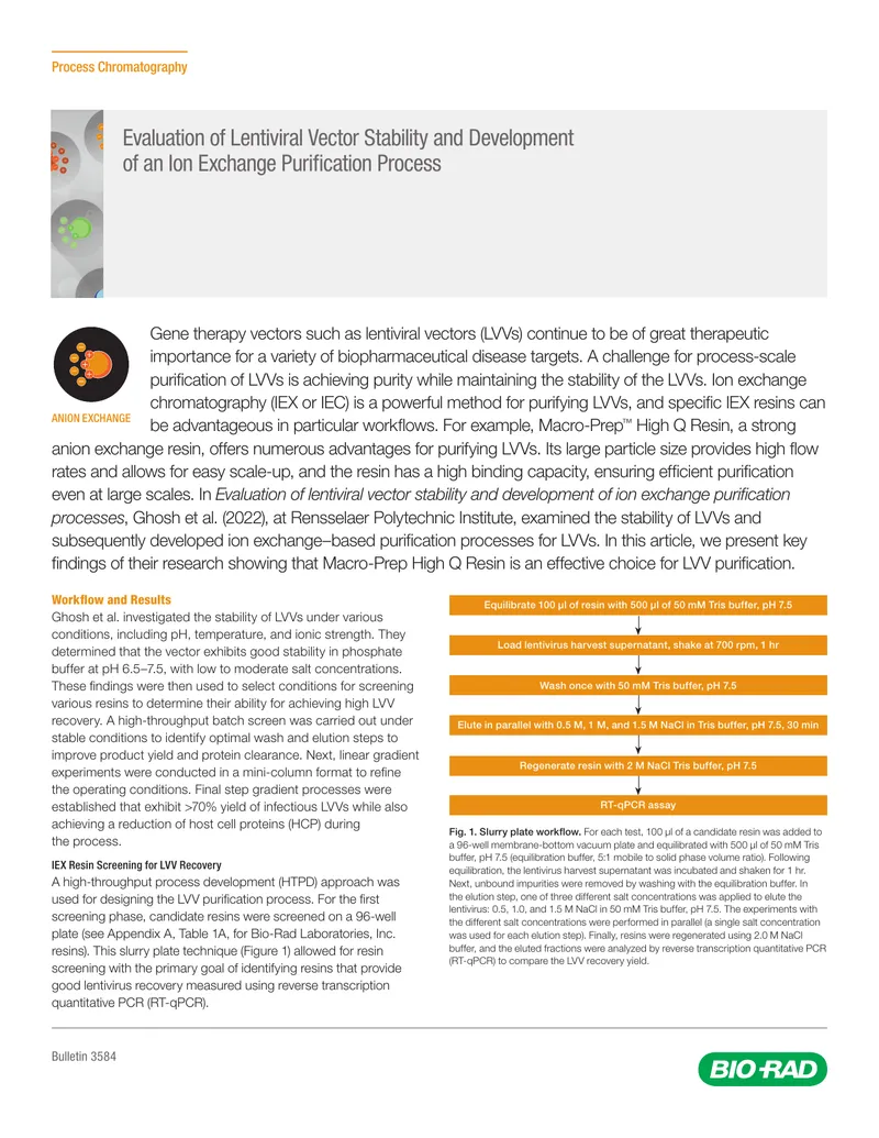 Evaluation of Lentiviral Vector Stability and Ion Exchange Purification Process