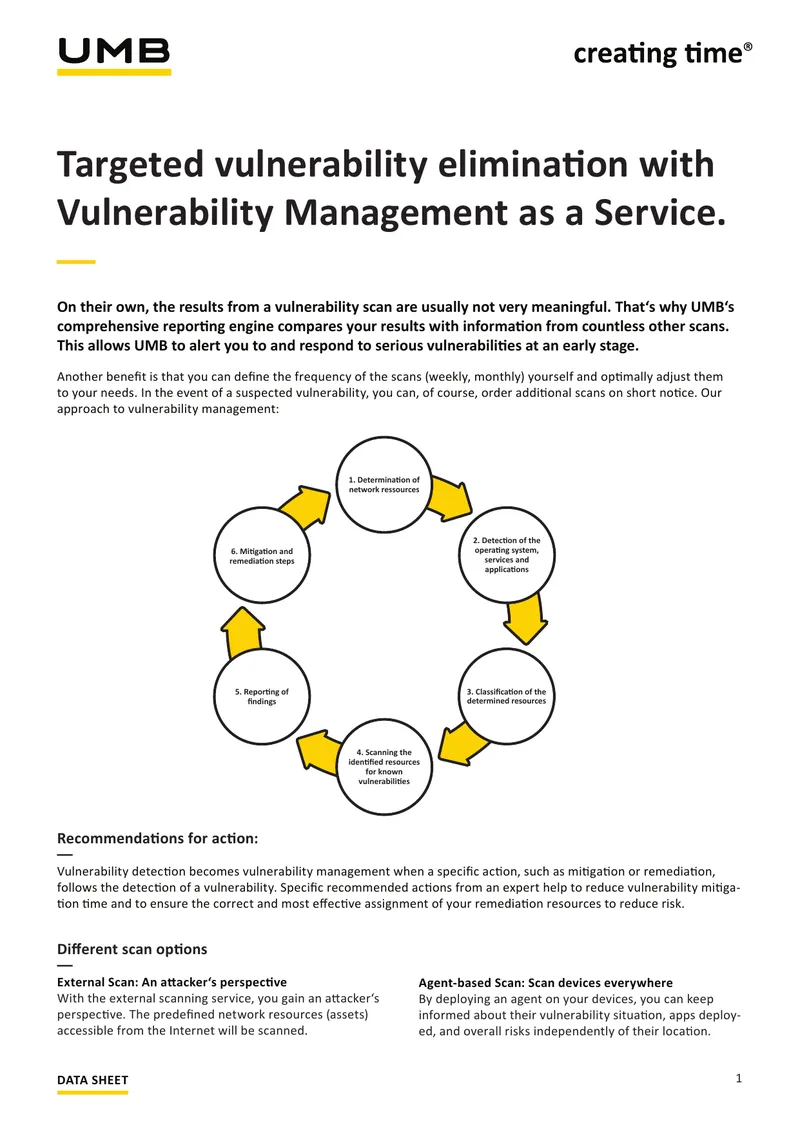 Vulnerability Management as a Service Data Sheet preview page 1