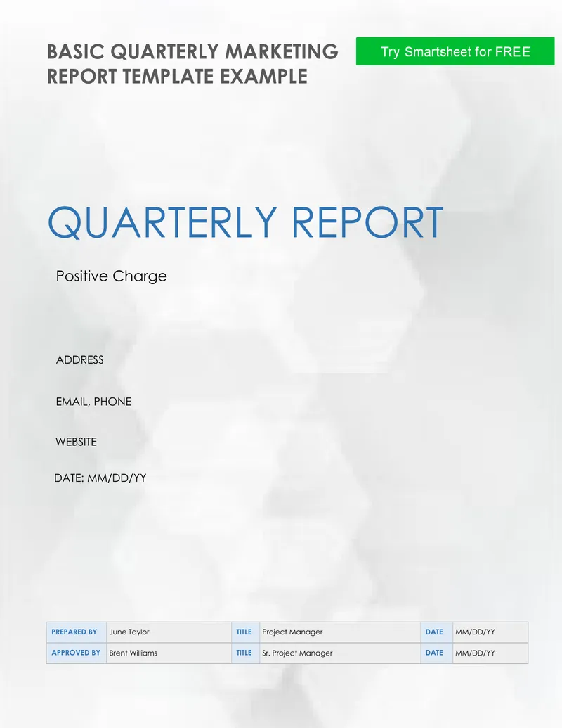 Quarterly Marketing Report Template Example