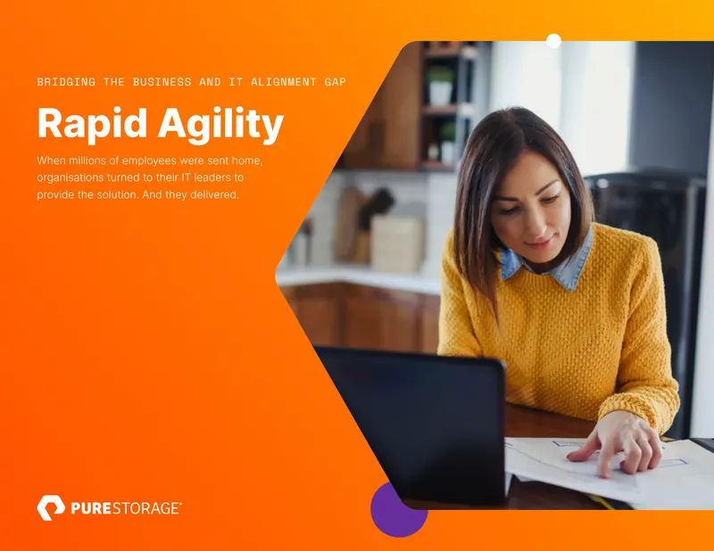 Bridging the Business and IT Alignment Gap