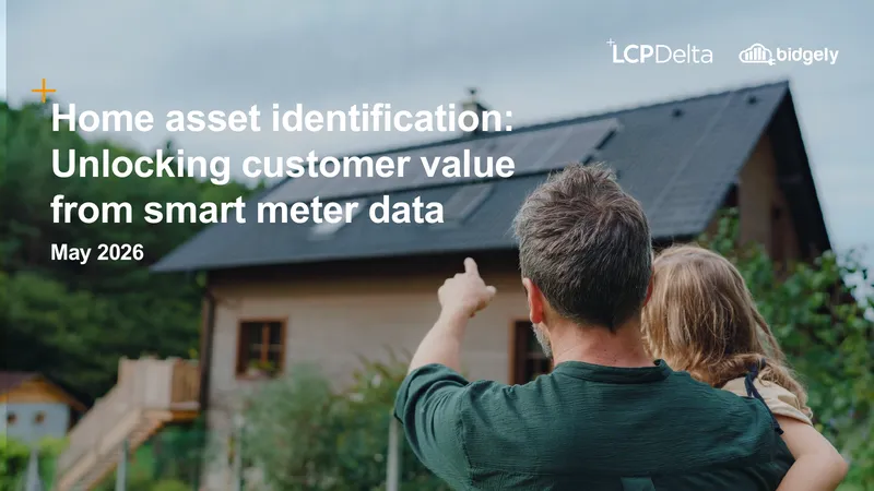 Home Asset Identification for Energy Retailers