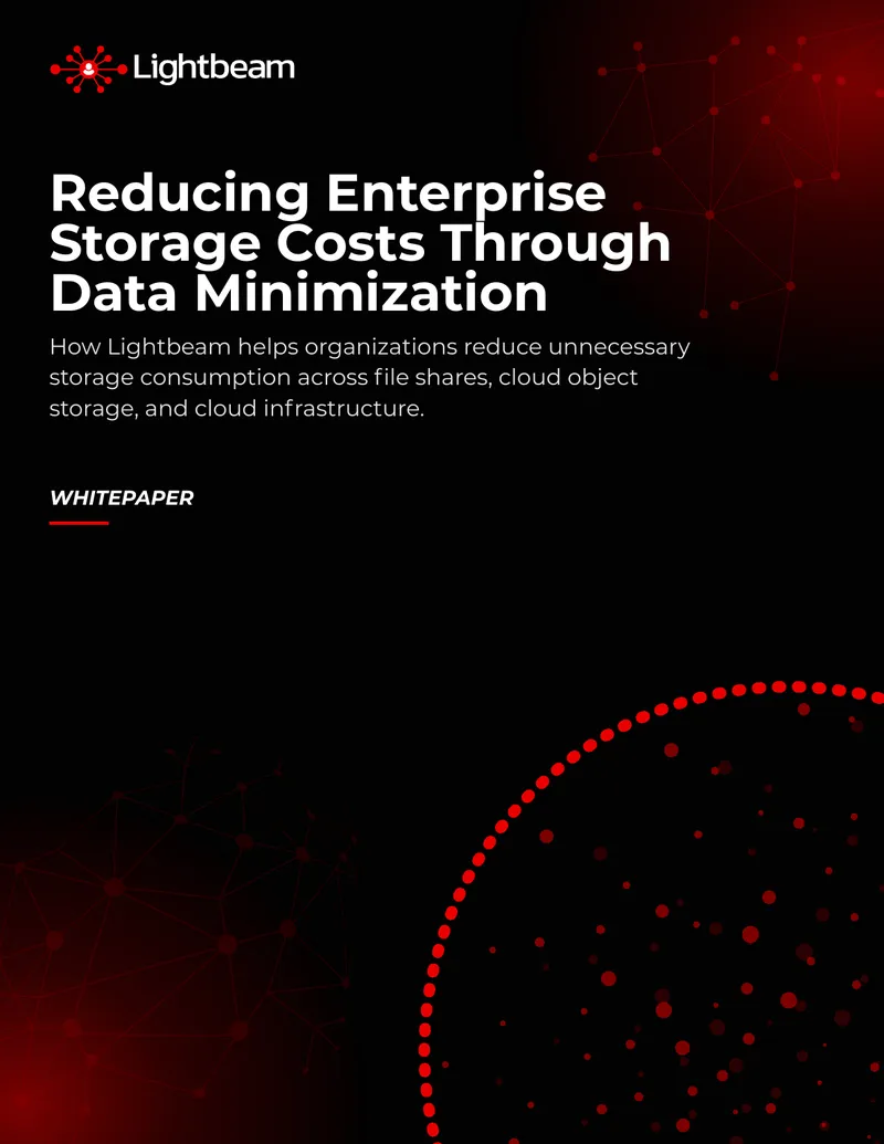 Reducing Enterprise Storage Costs Through Data Minimization