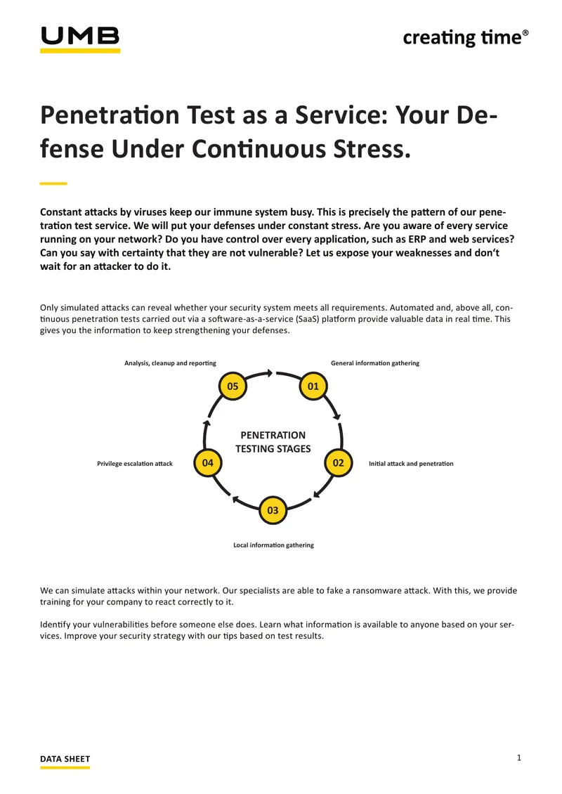 Penetration Test as a Service Overview