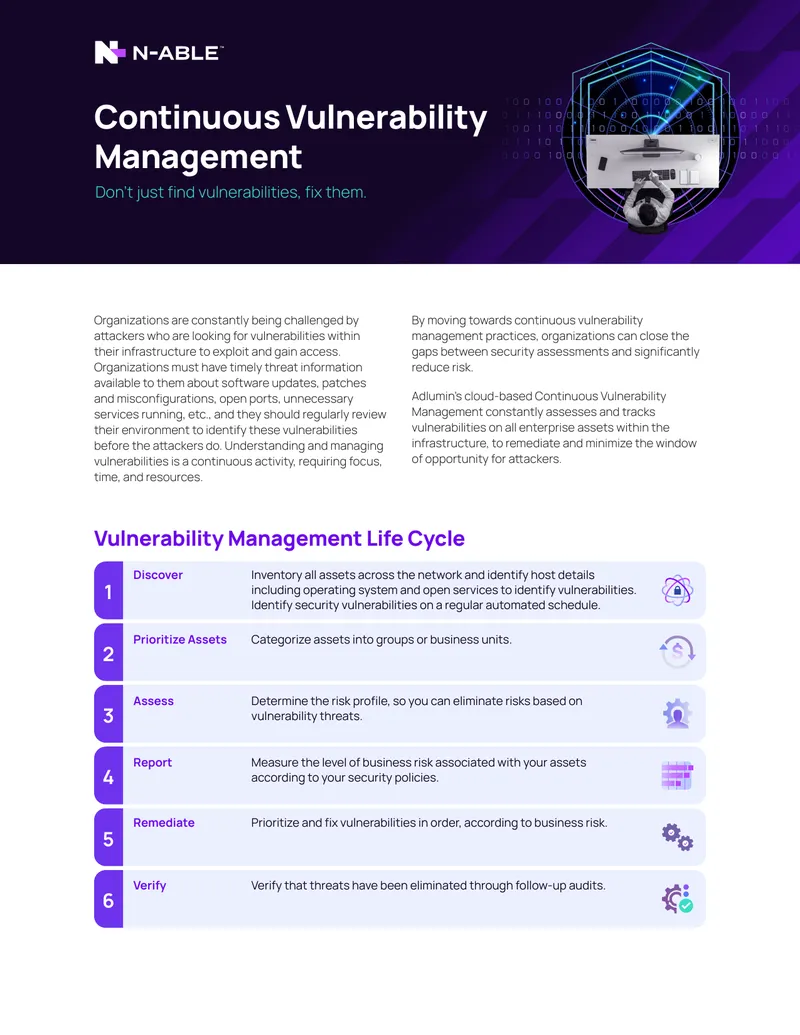 Continuous Vulnerability Management Practices