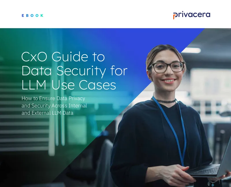 CxO Guide to Data Security for LLM Use Cases