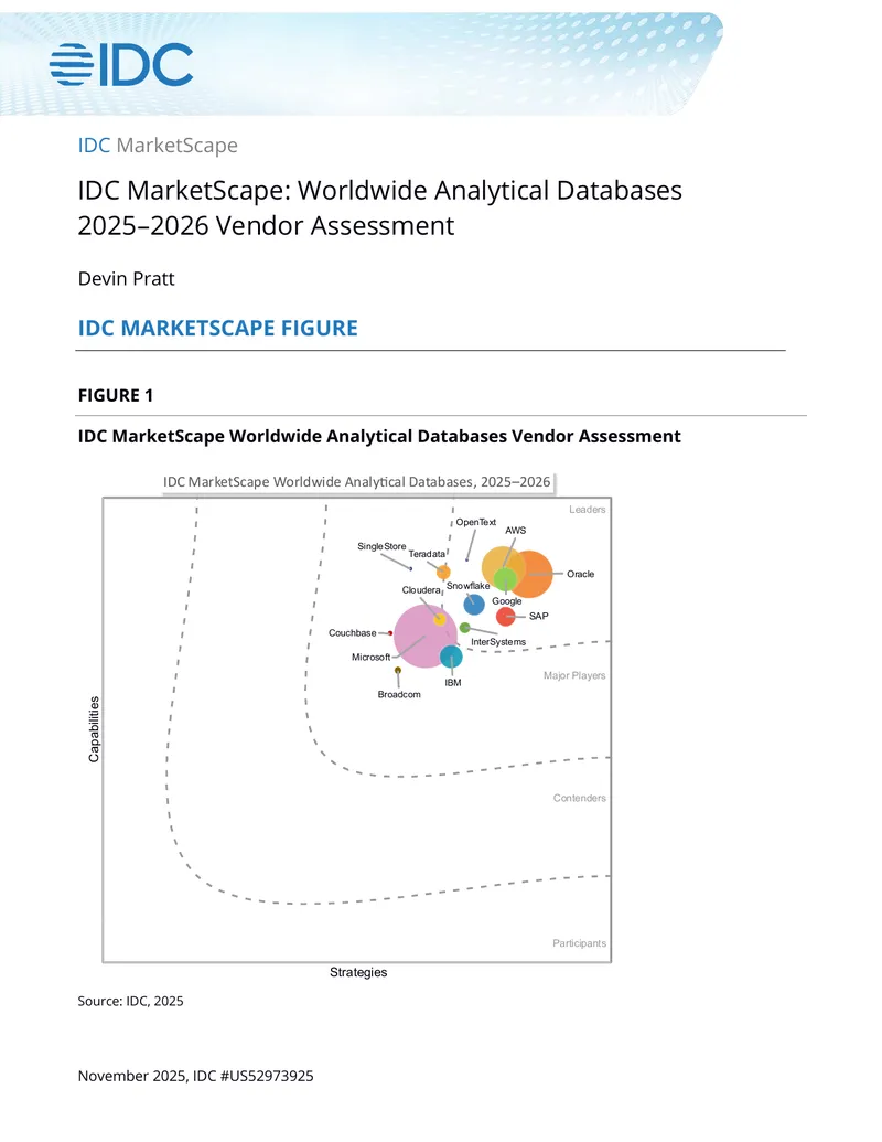 Worldwide Analytical Databases Vendor Assessment 2025-2026