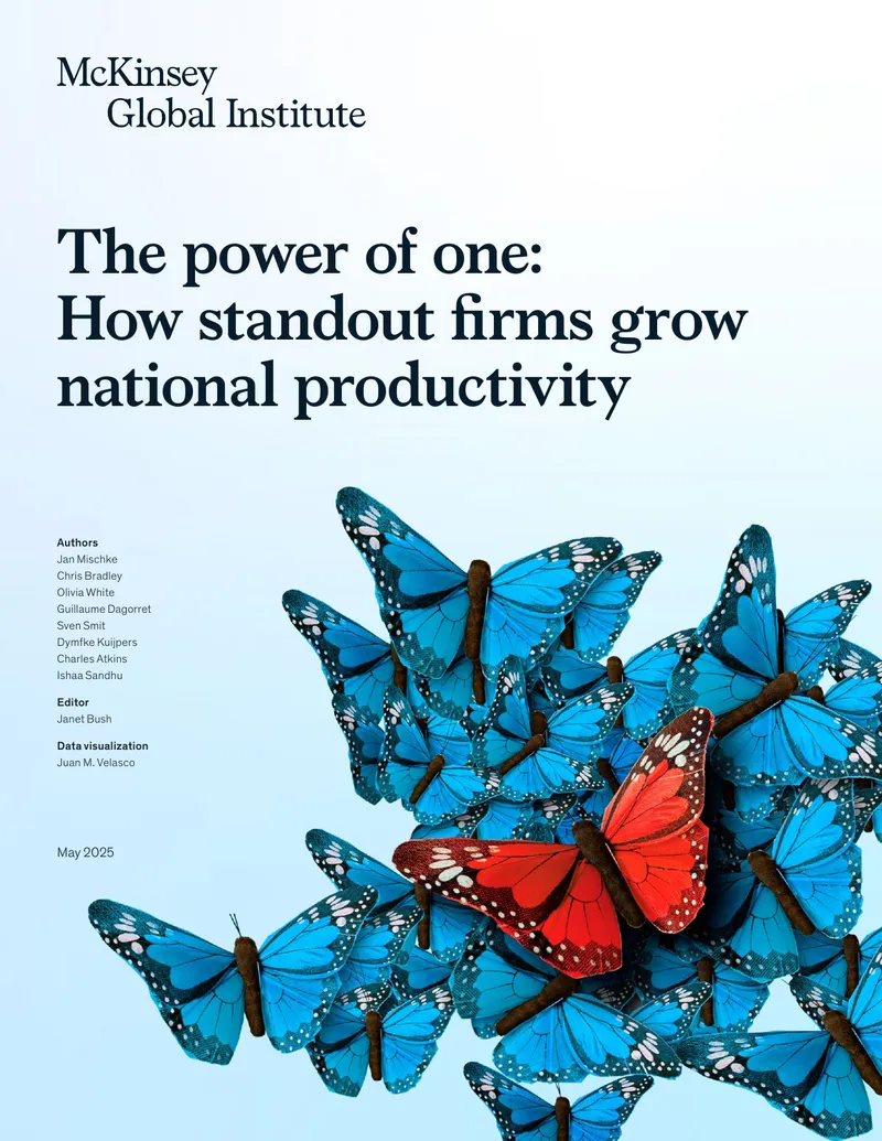 How Standout Firms Drive National Productivity