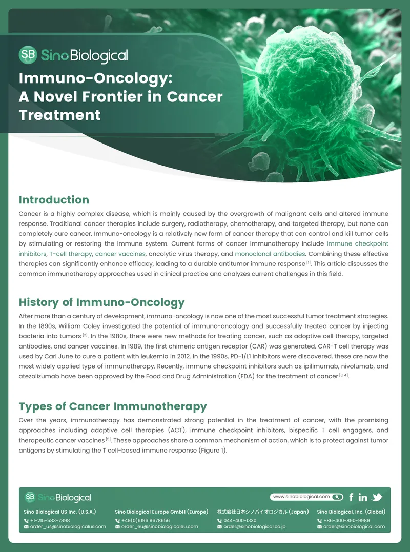 Immuno-Oncology Approaches in Cancer Treatment