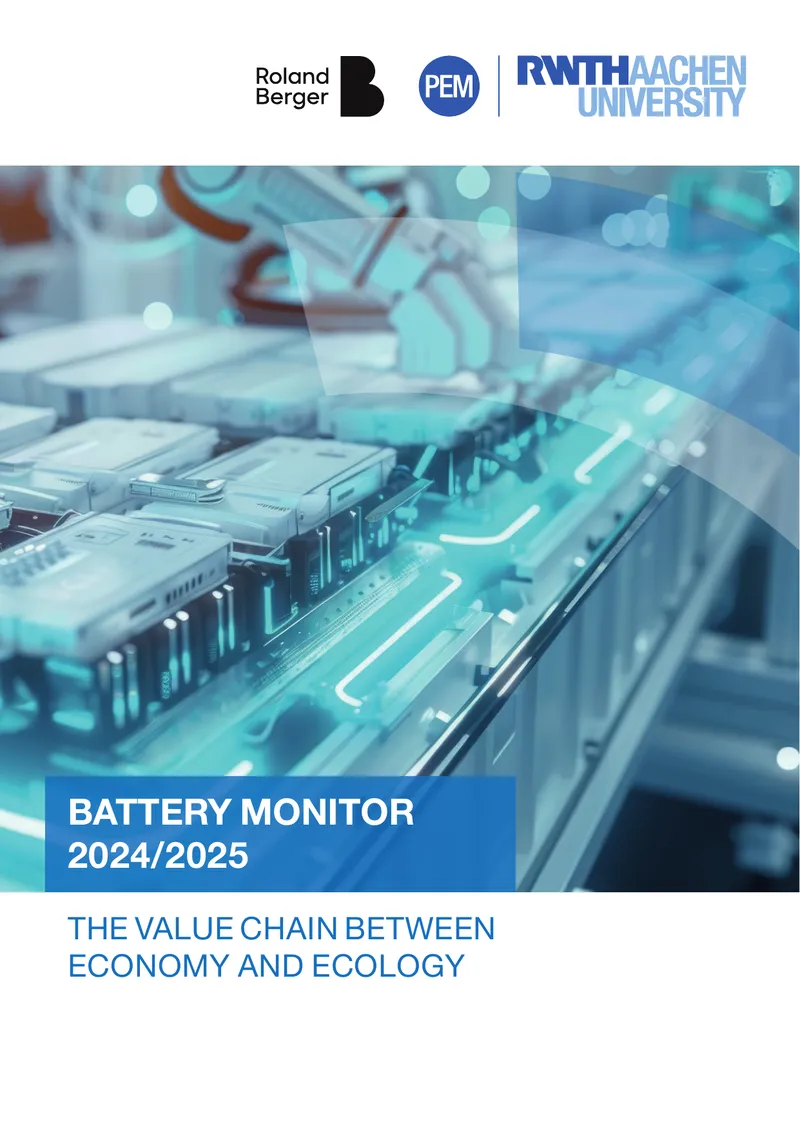 Battery Monitor 2024/2025 Market Analysis